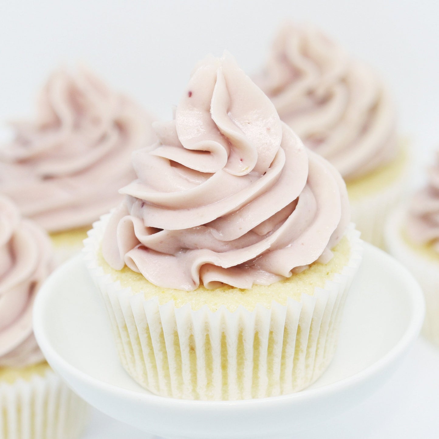 cupcakes met verse blauwe bessen zeist driebergen odijk doorn bunnik bilthoven de bilt den dolder bosch en duin huis ter heide soesterberg utrecht houten toef